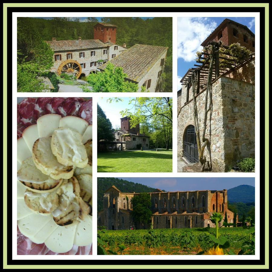Agriturismo Il Mulino Delle Pile Кьюздино Экстерьер фото