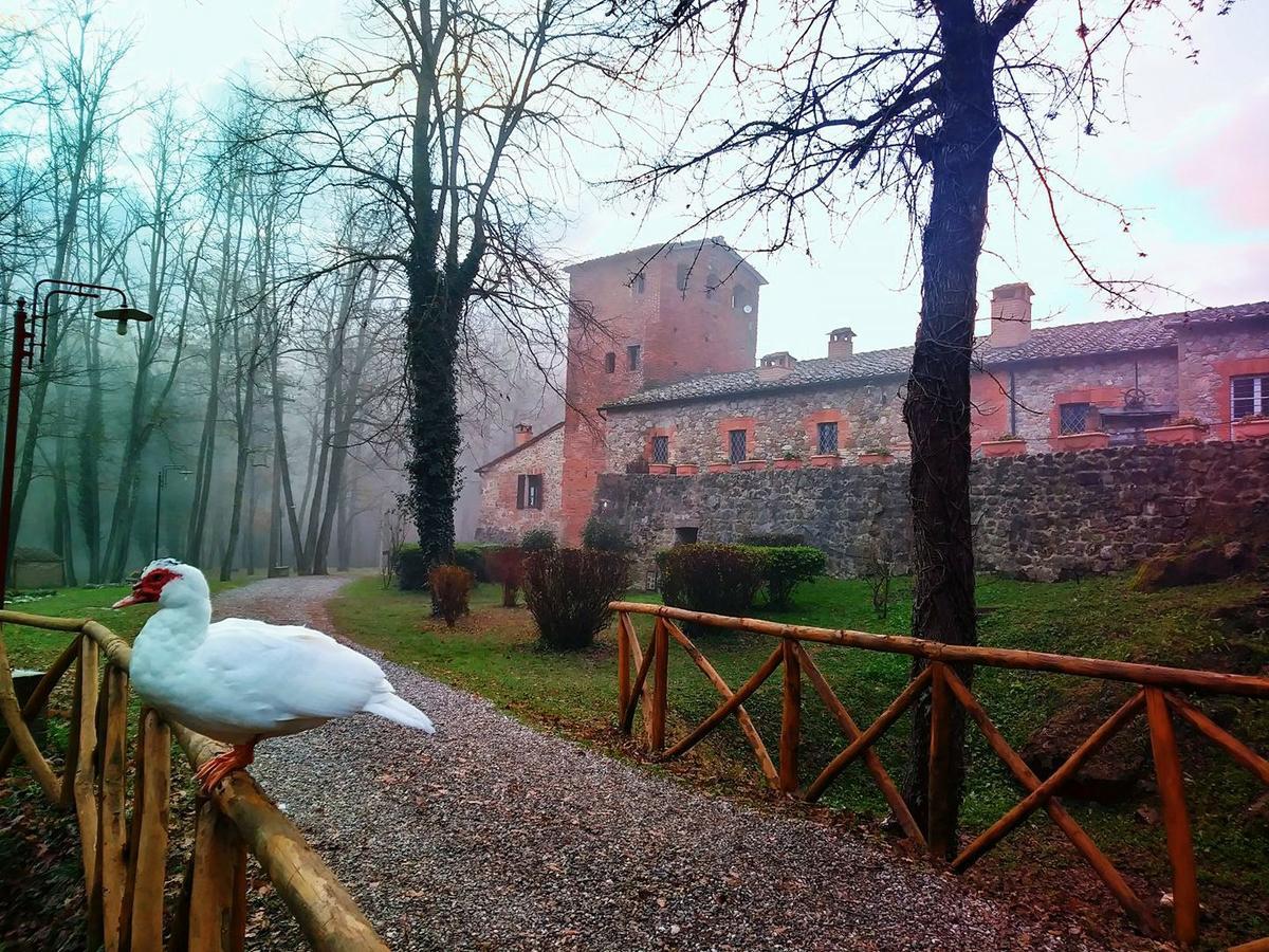 Agriturismo Il Mulino Delle Pile Кьюздино Экстерьер фото