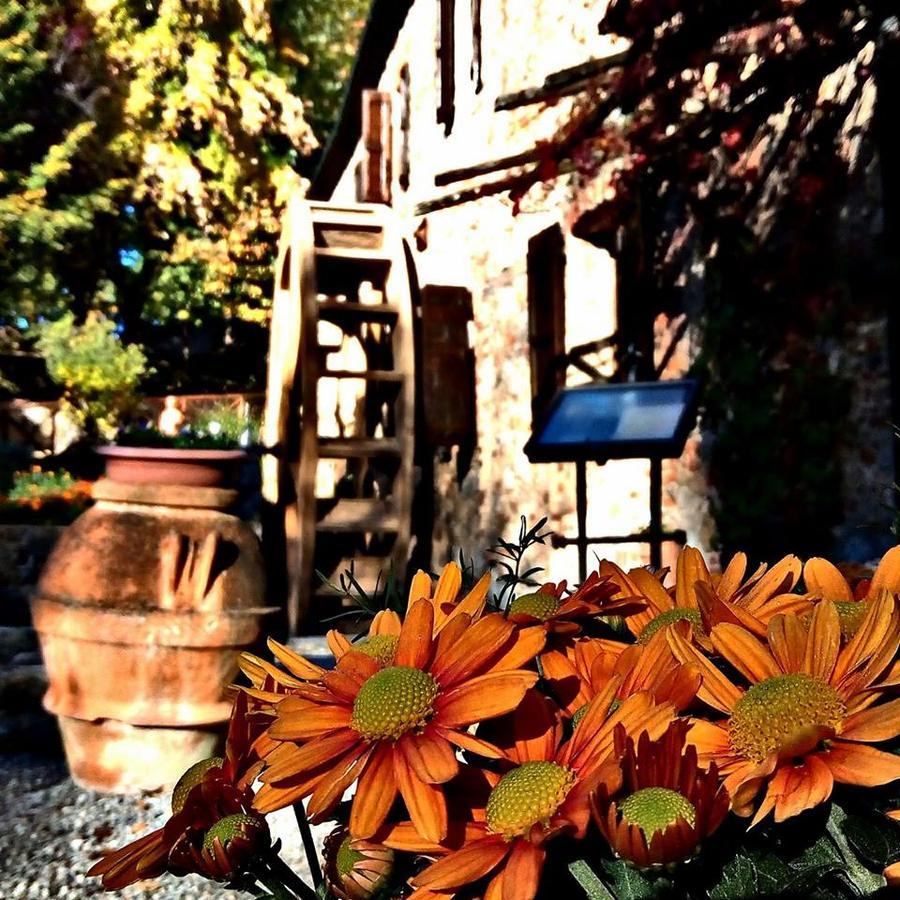 Agriturismo Il Mulino Delle Pile Кьюздино Экстерьер фото