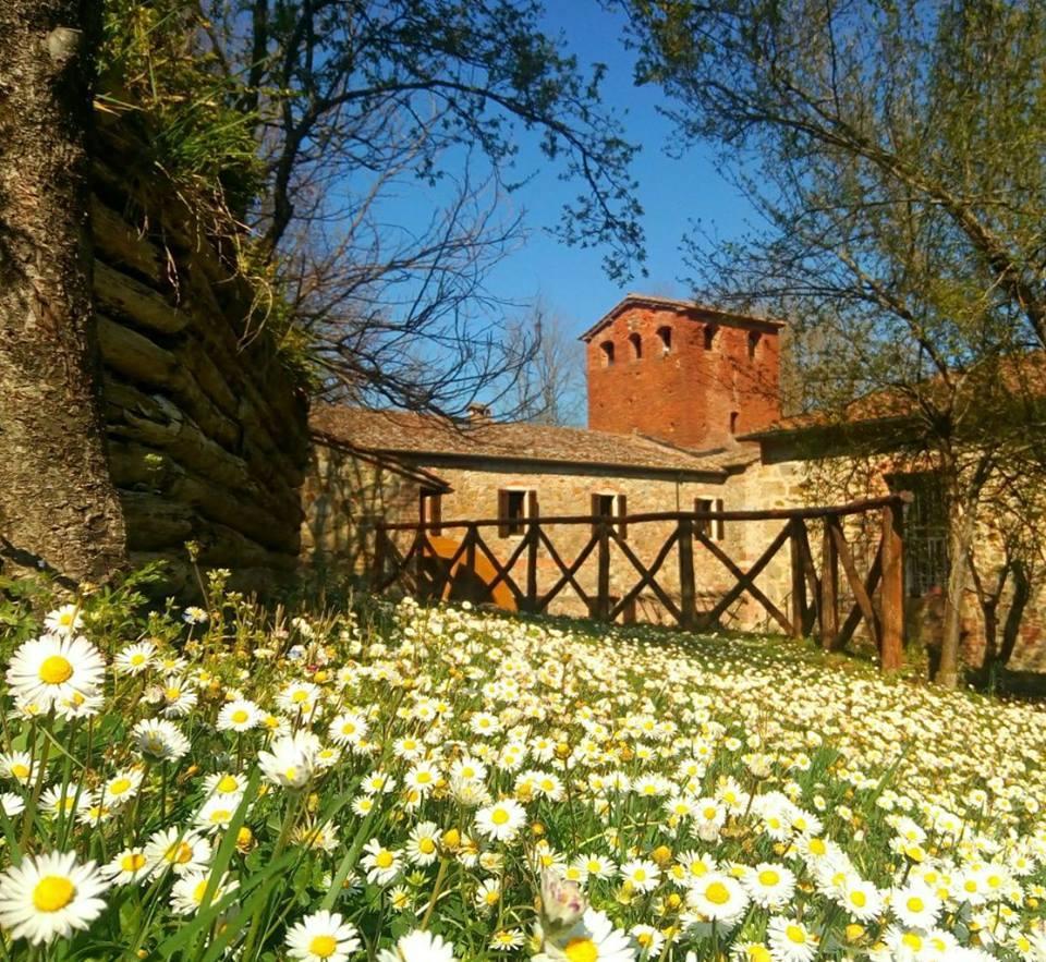 Agriturismo Il Mulino Delle Pile Кьюздино Экстерьер фото