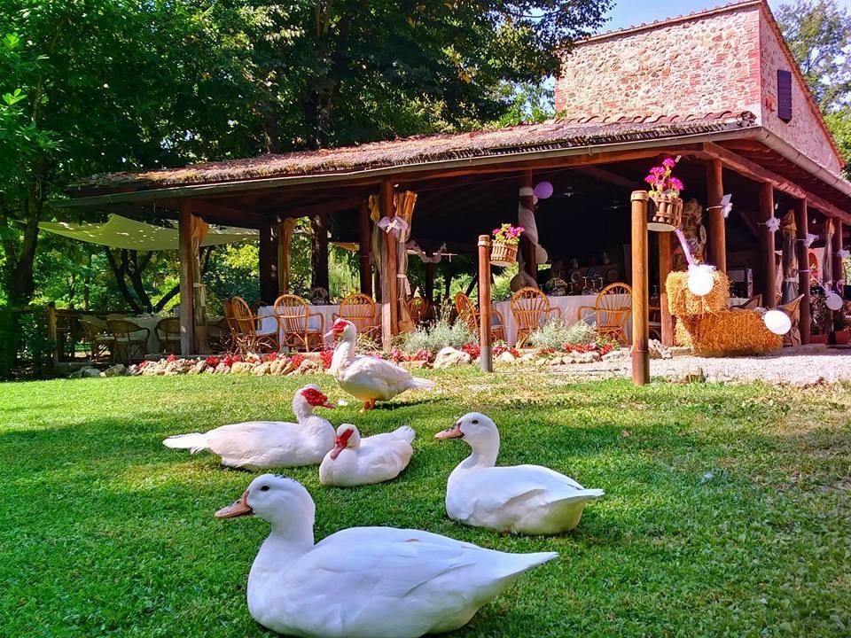 Agriturismo Il Mulino Delle Pile Кьюздино Экстерьер фото